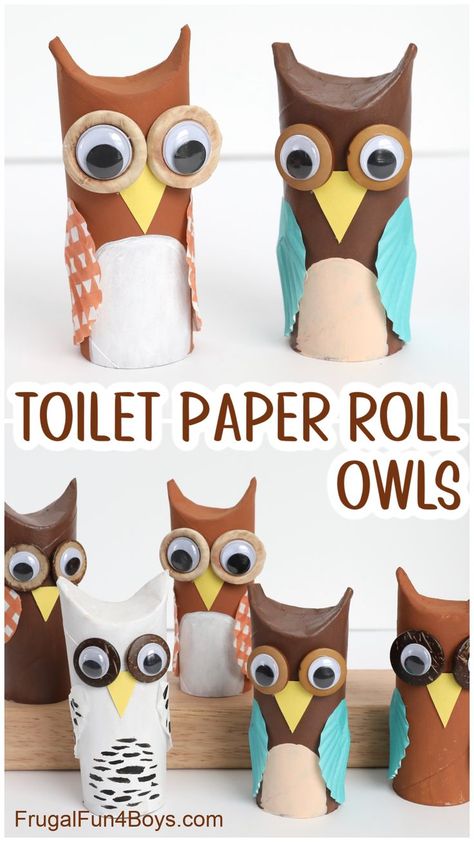 Diy Owl, Owl Craft, Owl Kids, Diy Bird Bath, Toilet Paper Tube, Cute Diy Projects, Toilet Paper Crafts, Paper Owls, Diy Toilet