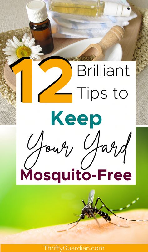 Mama Say What?! is the new name for Thrifty Guardian. Backyard Mosquito Repellent, Mosquito Yard Spray, Repellent Diy, Mosquitoes Remedies, Mosquito Repellent Homemade, Mosquito Repellent Spray, Diy Mosquito Repellent, Best Mosquito Repellent, Mosquito Spray