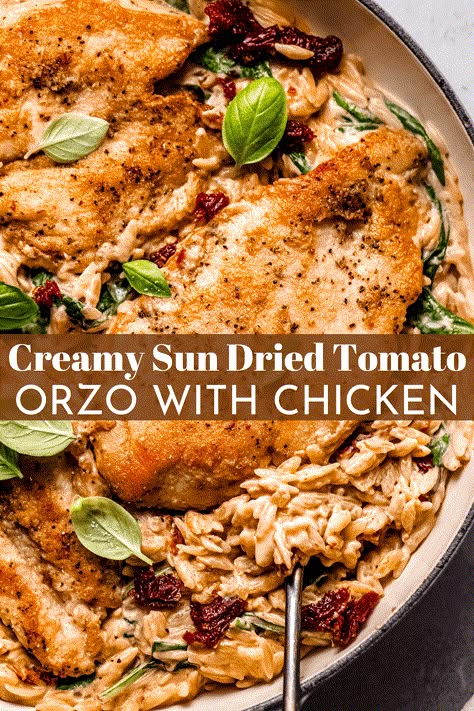 This one-skillet Sun Dried Tomato Chicken Orzo recipe combines seared chicken and tender orzo pasta with a rich sun dried tomato cream sauce. It’s a comforting Italian-inspired meal in just 30 minutes! Pasta Sundried Tomatoes Chicken, Sun Dried Tomato Artichoke Chicken, Chicken And Sun Dried Tomato Recipes, Orzo Sun Dried Tomato Recipes, Tomato Chicken Orzo, Sundried Tomato Orzo, Sun Dried Tomato Cream Sauce, Chicken Orzo Pasta, Sun Dried Tomato Chicken