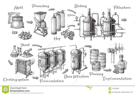 Vector Beer Infographics With Illustrations Of Brewery Process. Stock Vector - Illustration of black, background: 115352061 Brewery Process Illustration, Brewpub Design, Beer Infographic, Beer Brewing Process, Beer Drawing, Beer History, Beer Illustration, Beer Brewing Equipment, Hazy Ipa