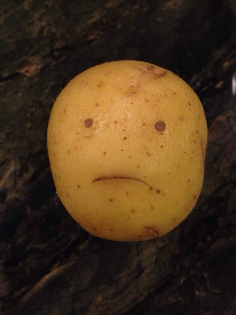 I feel you, potato. Potato Aesthetic, M To The B, Food With Faces, Happy Potato, Potato Face, Funny Potato, Tiny Potato, What Should I Draw, Stickers To Print