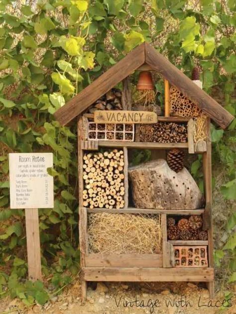 Our Bug Hotel is open, come on in | by Craig Freeman | Invironment | Medium Quirky Garden Ideas, Bug Houses, Bee Hotels, Quirky Garden, Bug Hotels, Bug House, Bee Hotel, Bug Hotel, Insect Hotel