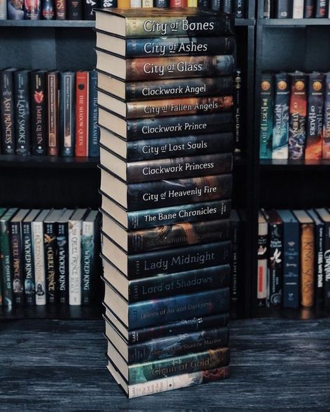 Shadowhunters Reading Order, Kingdom Of Ash Book, Hero Of Ages, City Of Bones Book, Shadowhunters Books, Shadowhunter Books, Kingdom Of Ash, City Of Ashes, Bone Books