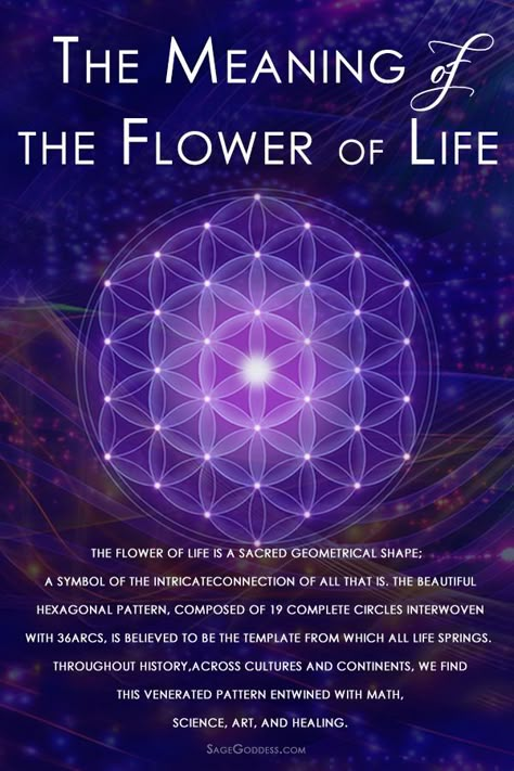 Flower Of Life Meaning, Sacred Geometry Meanings, Geometry Symbols, Life Meaning, Sacred Geometry Patterns, Sacred Geometry Symbols, The Flower Of Life, Easy Meditation, Sacred Geometry Art