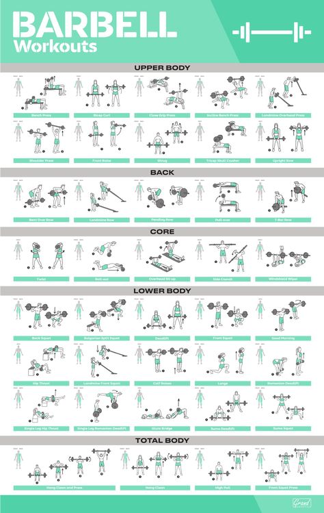 Pin On Workout Posters For Home Gym Poster Exercise, Barbell Workout For Women, Fitness Poster, Workout Programs For Women, Studio Pilates, Gym Antrenmanları, Gym Poster, Home Gym Exercises, Reformer Pilates