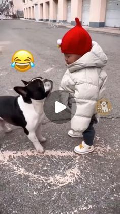 Dancing Dogs Funny Videos, Dog Humor Hilarious, Funny Dog Videos Hilarious Laughing, Funny Dog Videos Make Me Laugh, Funny Dog Videos Try Not To Laugh, Dogs And Puppies Videos, Dog Videos Funny Hilarious, Cute Puppies Videos, Funny Dog Videos Hilarious