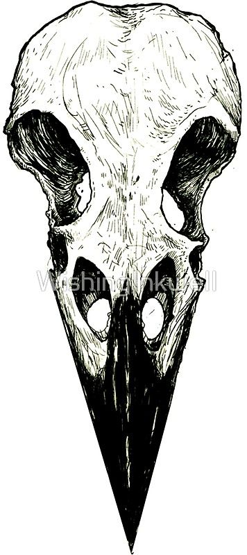 Animal Skull Drawing, Crows Drawing, Airbrush Ideas, Art Tattoo Design, Skull Reference, Dragon Tattoo Art, Tattoo Beautiful, Lion Drawing, Bone Tattoos