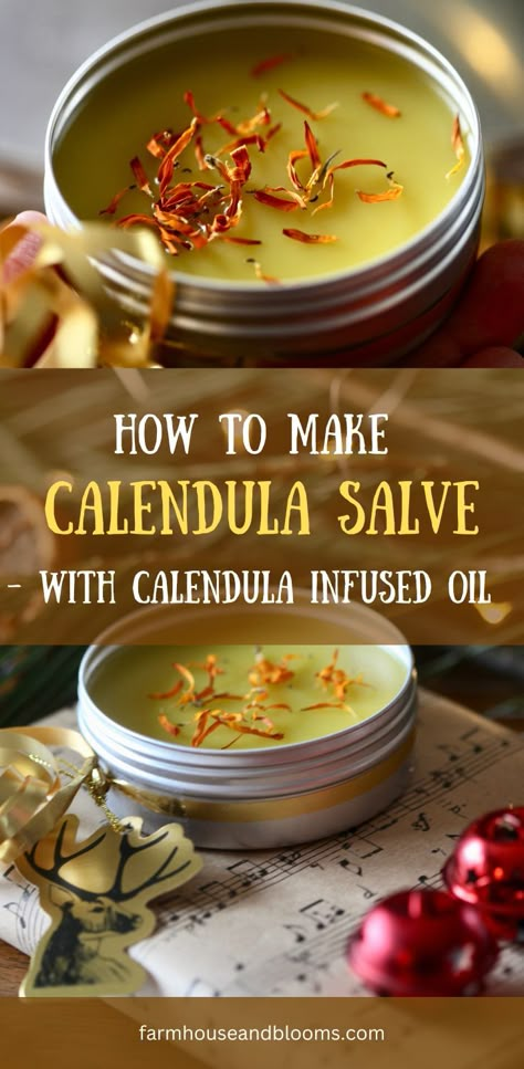 two pictures of calendula salve Calendula Salve, Salve Recipes, Hand Salve, Herbal Salves, Infused Oil, Healing Salves, Diy Kosmetik, Homemade Lotion, Herbal Recipes