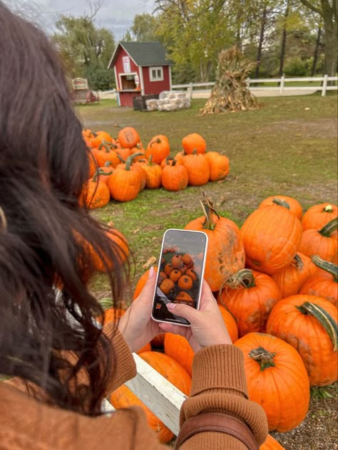 Fall Photos Pumpkins, Texas Fall Aesthetic, Apple Picking Poses, Fall Apple Picking Aesthetic, Pumpkin Picking Pictures, Pumpkin Picking Aesthetic, Apple Orchard Aesthetic, Apple Picking Date, Apple Picking Photoshoot