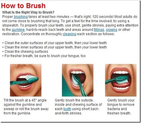 How to brush. What is the correct way to brush? Proper brushing takes ...