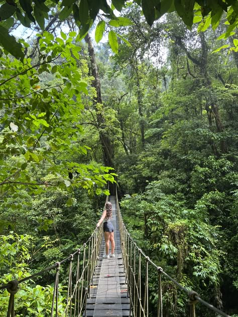 El Tigre waterfalls in Monteverde, Costa Rica Nature Vacation Aesthetic, Costa Rica Pictures Ideas, Costa Rica Christmas, Vision Board Costa Rica, Forest Life Aesthetic, Travel Aesthetic Costa Rica, Costa Rica Astethic, Costa Rica Pics, Costa Rica Monteverde