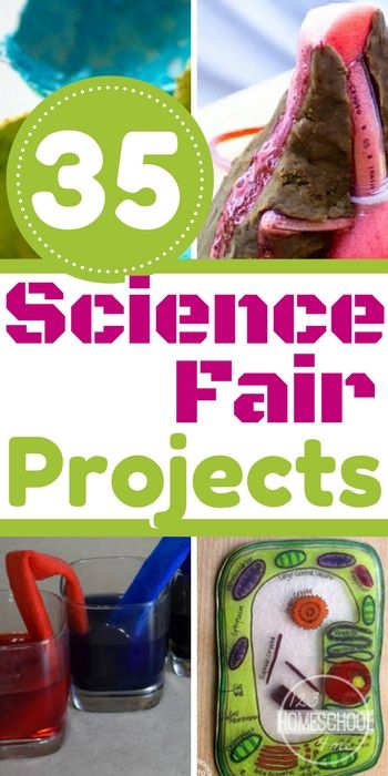 35 Science Fair Projects that are SUPER cool! So many creative and unique science experiments for kids of all ages covering all sorts of different areas of science for preschool, kindergarten, first grade, 2nd grade, 3rd grade, 4th grade, and 5th grade students. Kids Science Fair Projects, Easy Science Fair Projects, Science Fair Project Ideas, Elementary Science Fair Projects, Fair Project Ideas, Science Fair Experiments, Cool Science Projects, 123 Homeschool 4 Me, Cool Science Fair Projects