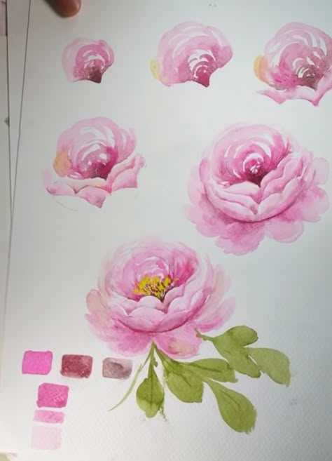 Flower Art Watercolor, Learn Watercolor Painting, Flower Drawing Tutorials, Watercolor Flowers Tutorial, Flowers Tutorial, Peony Painting, Flower Art Drawing, Watercolor Peonies, Diy Watercolor Painting