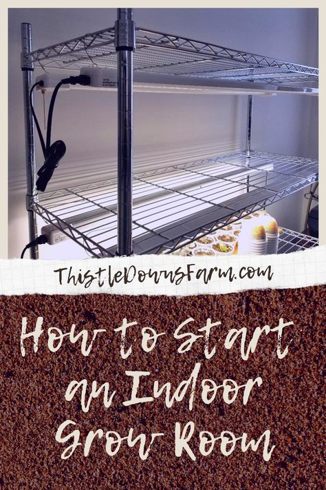 Year Round Indoor Garden, How To Start An Indoor Garden, Diy Grow Shelves, Indoor Food Garden Apartment, Indoor Nursery Garden, Closet Garden Indoor, How To Make An Indoor Greenhouse, Indoor Garden Shelves, Diy Greenhouse Inside