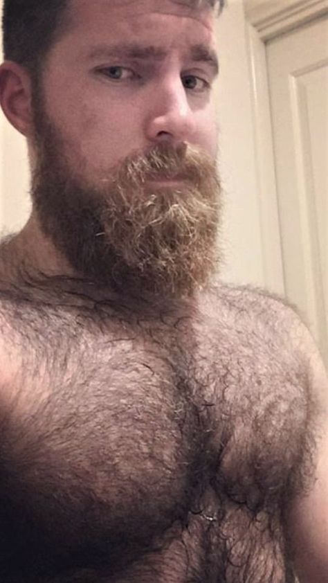 Burly Men, Men Tumblr, Scruffy Men, Ginger Men, Great Beards, Muscle Bear, Awesome Beards, Masculine Men, Beard Styles