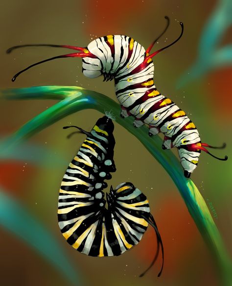 Queen and Monach Caterpillar, Greg R on ArtStation at https://www.artstation.com/artwork/L3Q4A Caterpillar Cat Drawing, Cool Caterpillars, Caterpillar Reference, Catipillar Drawing, Catapiller Drawing, Catapillar Tattoos, Caterpillar On Mushroom, Colourful Caterpillar, Caterpillar On Leaf