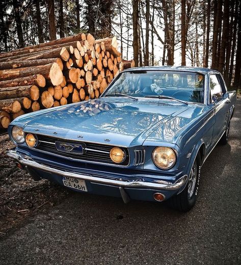 ClassicStangsGermany on Instagram: “Good day classy people check out out this stunning 66 coupe. Credit: @silver_blue_66_mustang _________ Comment Any Thoughts 💭💭 Tag Your…” 1967 Mustang Convertible, Mustang 66, Blue Mustang, 66 Mustang, 65 Mustang, 1967 Mustang, Gta 6, Classy People, 1965 Mustang