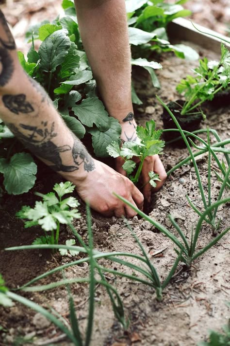 Garden Landscaping Backyard, Gardening Photography, Garden Decoration Ideas, Living Garden, Landscaping Backyard, April Showers Bring May Flowers, Front Garden Landscape, Farm Lifestyle, Permaculture Gardening