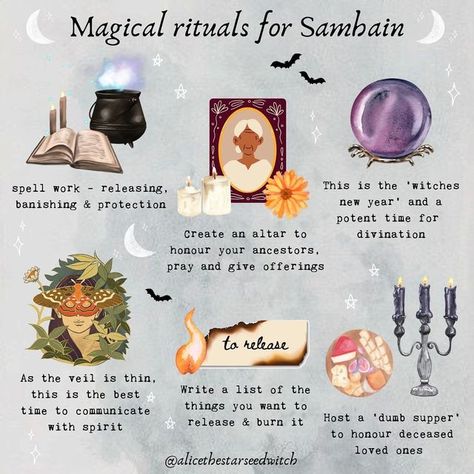 A L I C E ✨🌿 on Instagram: "✨🎃MAGICAL RITUALS FOR SAMHAIN 🎃✨ What magical rituals will you be doing around the 31st for Samhain? It is the witch’s new year after all! 🧙🏼‍♀️✨🧙🏼‍♂️ Content and graphic design @alicethestarseedwitch Follow @alicethestarseedwitch for more witchy and magical content... #samhain #samhainrituals #samhainactivities #samhainritual #halloweenrituals #halloweenactivities #witchesnewyear" Wicca Holidays, Samhain Traditions, Samhain Altar, Samhain Ritual, Wiccan Sabbats, Witch Rituals, Samhain Halloween, Witch Spirituality, Witch Spell Book