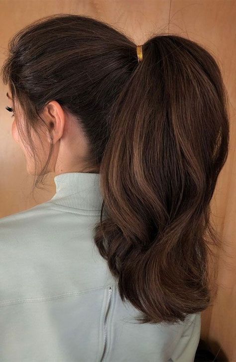 Stylish Ponytail, Pony Hairstyles, Elegant Ponytail, Long Hair Ponytail, Sleek Ponytail Hairstyles, Ponytail Hairstyles Easy, Ponytail Hairstyle, Black Ponytail Hairstyles, Simple Ponytails