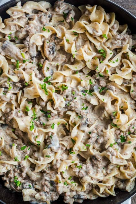 Creamy Ground Beef Stroganoff, Beef And Alfredo Sauce, Ground Beef And Alfredo Sauce, Stroganoff Recipe Ground Beef, Leftover Ground Beef Recipes, Leftover Ground Beef, Crock Pot Stroganoff, Beef Gravy Recipe, Hamburger Stroganoff