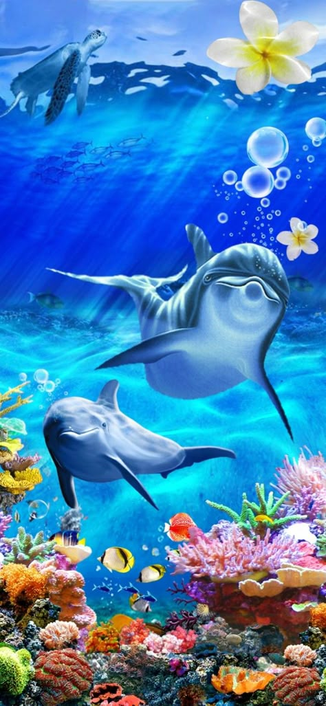 Dolphin Images, Dolphin Photos, Ocean Art Painting, Dolphin Painting, Phone Background Wallpaper, Disney Characters Wallpaper, Dolphin Art, Cool Pictures For Wallpaper, Love Wallpaper Backgrounds