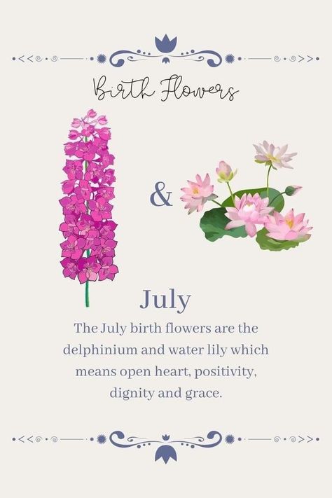 July Birth Flowers, Birth Flower For July, Flower For July, Lily Meaning, Wildflower Tattoos, Larkspur Tattoo, Water Lily Tattoos, Symbols Meaning, July Birth Flower