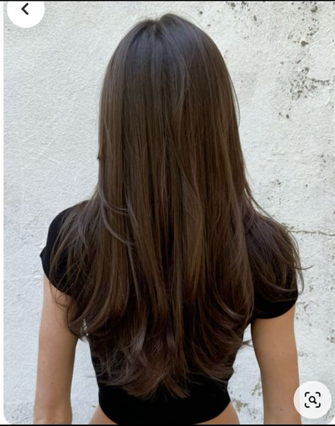 Straight Brown Layered Hair, Straight Hair Brunnete, Long Hair Slightly Layered, Layered Brown Hair Medium Length, Brunette Glossy Hair, Long Chocolate Brown Hair Straight, Long Layers Haircut Unstyled, Layers Brunette Long Hair, Naturally Brown Hair