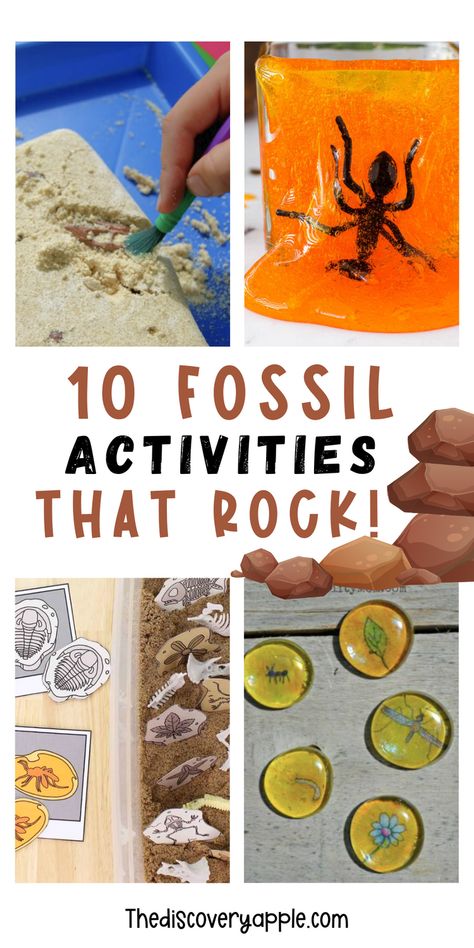 Lets go on a journey through time with these 10 awesome fossil activities for kids! From digging up fake dinosaur bones to creating your own fossil replicas, these hands-on experiments promise fun and learning for young explorers. Perfect for sparking curiosity and imagination! These activities are sure to make learning about fossils an unforgettable experience for your students or children! Arizona Activities For Preschool, Dinosaur Fossil Preschool Activities, Dinosaur Fossil Activity, Making Fossils With Kids, Dino Fossil Craft, Grand Canyon Activities For Kids, Paleontologist Activities For Kids, Fossil Crafts For Kids, Paleontology Activities For Kids