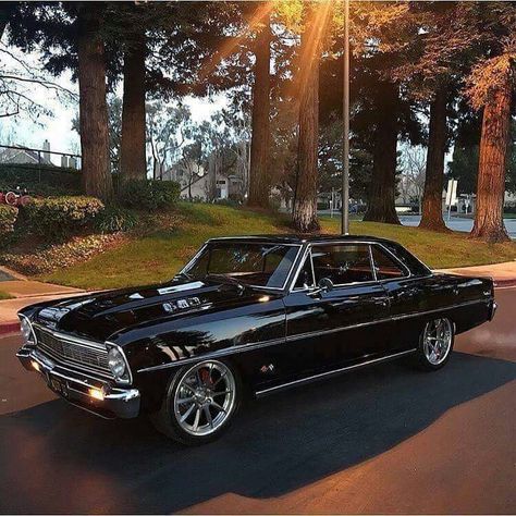 Chevy II Nova 66 Nova, Tmax Yamaha, Gm Car, Chevy Muscle Cars, Chevrolet Nova, Custom Muscle Cars, Car Classic, Old School Cars, Chevy Nova