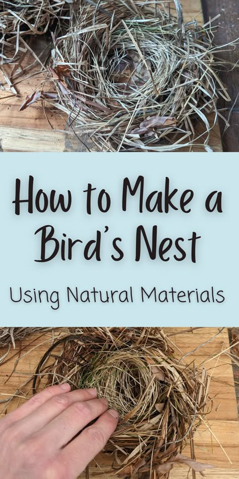 hand made birds nest on a wooden cutting board made out of dried grasses and leaves above a hand shaping dried grass and leaves into a nest.  Light blue rectangle across the middle with text overlay. Birds Nests Craft, Diy Birds Nest Craft, How To Make Birds Nests, Bird Nest Art Project, Make A Nest Craft, How To Make Birds Nest Crafts, How To Make A Birds Nest Diy, Bird Nest Aesthetic, How To Make A Nest Diy