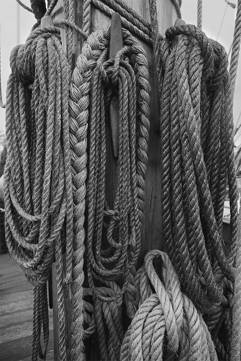 Nautical Rope Art, Ropes Aesthetic, Sailing Rope, Old Sailing Ships, Black Rope, Gray Matters, Tall Ships, Hermione, Ship Art