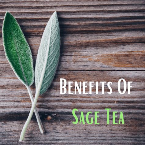 Benefits Of Sage Tea, Sage Benefits Herbs, Garden Vegetable Recipes, Benefits Of Drinking Tea, Sage Benefits, Apple Plant, Mint Plant, Tea Lattes, Sage Herb