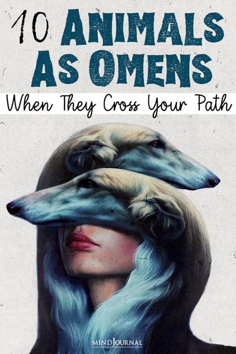 10 Animals As Omens When They Cross Your Path Unanswered Prayers, Dead End Job, Manifesting Wealth, Become Wealthy, Lost My Job, Wealth Creation, Abundant Life, How To Become Rich, Ancient Cultures