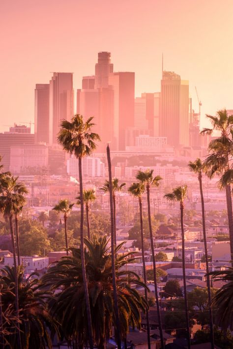 Los Angeles Wallpaper, California Wallpaper, Los Angeles Travel, Hollywood Sign, Living Modern, Sequoia National Park, City Of Angels, California Dreaming, Downtown Los Angeles