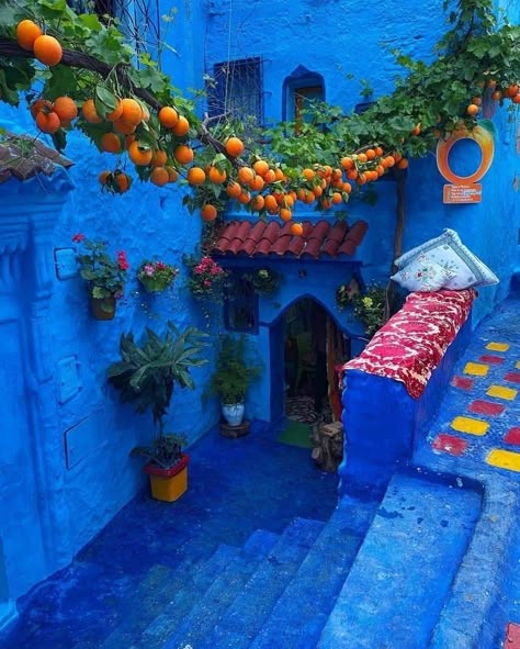 Blue City Morocco, Morocco Chefchaouen, Arizona Decor, Morocco Aesthetic, Chefchaouen Morocco, Moroccan Aesthetic, Marrakech Travel, Blue City, Fantasy Places