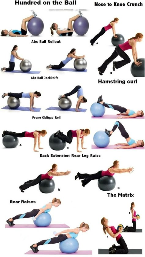 Stability Ball Workout, Yoga Ball Exercises, Ball Exercise, Ball Workouts, Stability Ball Exercises, Bolesti Chrbta, Ball Workout, Swiss Ball, Gym Ball