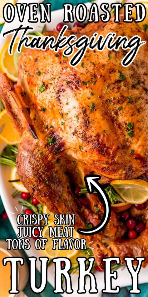 Turkey Dinner Recipes Thanksgiving, Roast Turkey Recipes Thanksgiving, Easy Turkey Recipes Thanksgiving, Turkey Rub Recipes, Easy Thanksgiving Turkey, Best Thanksgiving Turkey Recipe, Perfect Roast Turkey, Whole Turkey Recipes, Easy Turkey Recipes