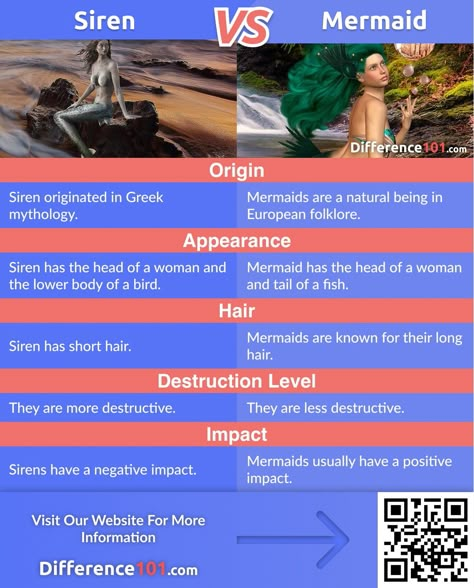 Siren vs. Mermaid: siren and mermaid differences can be seen in their personality. A siren is a Greek mythology creature infamous for singing beautifully to allure the sailor and wreck their ships. At the same time, a mermaid is a being in Greek, European, and world history who is the epitome of beauty and benevolence. Siren X Mermaid, Greek Siren Art, Mermaids Vs Sirens, Greek Mythology Mermaids, Siren And Mermaid Difference, Siren History, How To Sing Like A Siren, Siren Information, Mermaid Biology