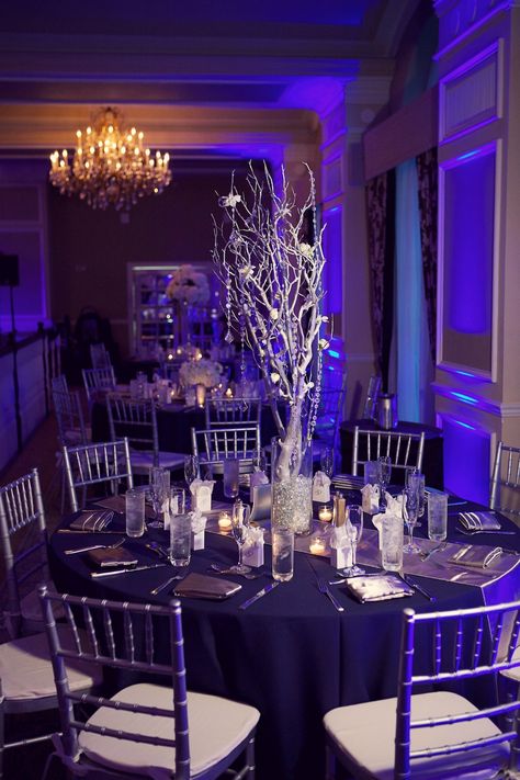 Navy Blue, Silver & White St. Pete Beach Wedding - Don CeSar - St. Petersburg, FL Wedding Photographer Reign 7 Studios (35) Silver Wedding Reception, Silver Wedding Centerpieces, Branch Centerpieces Wedding, Blue Silver Weddings, Purple And Silver Wedding, Silver Wedding Decorations, Silver Centerpiece, Diy Wedding Reception, Wedding Floral Centerpieces