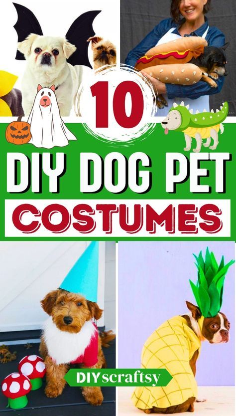 Home Made Dog Costumes Halloween, Felt Dog Costume, Dog Hershey Kiss Costume, Home Made Dog Costume, Diy Hot Dog Costume For Dogs, Dog And Cat Costumes, Doodle Halloween Costume Dog, Dog Custom Halloween, Home Made Dog Costumes