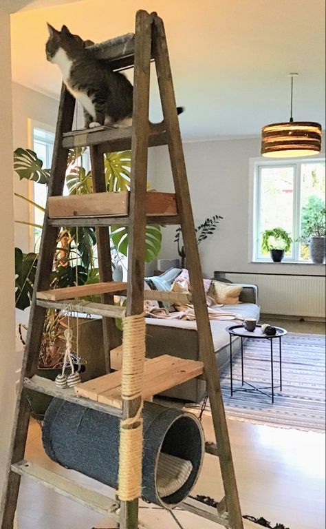 Explore new heights with your cat and a tree from Amazon. Buy now and watch the story unfold. Katt Diy, Cat Room Decor, Cat Furniture Design, Katt Grejer, Kat Diy, Chat Diy, Cat Patio, Cat Tree House, Diy Cat Tree