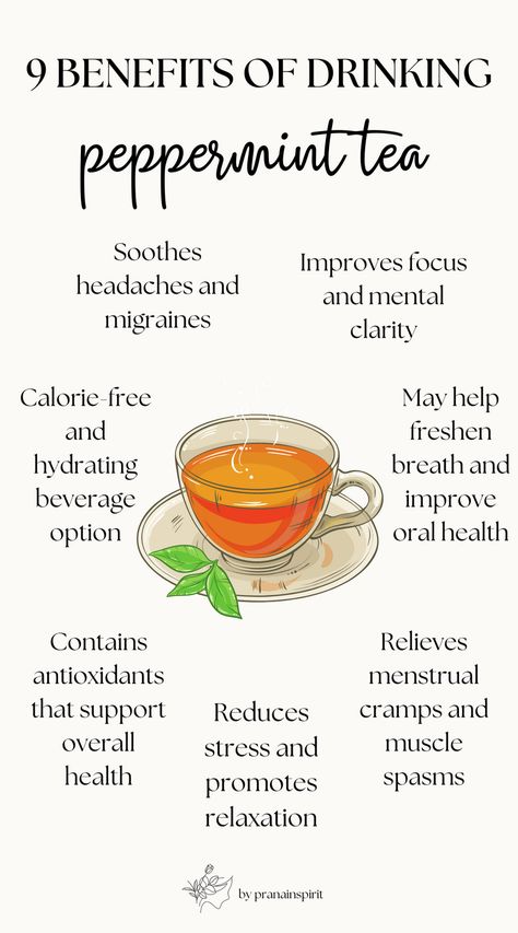 9 benefits of drinking peppermint tea  #tea #pepperminttea #teabenefits #healthandwellness #healthyrecipes #pumpkinspice #pumpkinspicelatte #autumnrecipes #autumndrinks #warmdrinks #cozydrink #healthydrink Benefits Of Peppermint Tea Before Bed, Peppermint Tea Benefits At Night, Peppermint Leaf Benefits, Types Of Tea And Benefits, Teas Benefit, Pomegranate Tea Benefits, Lemon Balm Tea Benefits, Benefits Of Peppermint Tea, Spearmint Tea Benefits