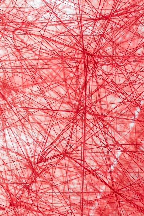 Chiharu Shiota, Photo Wall Collage, A Level Art, Ap Art, Trik Fotografi, Japanese Artists, Red Aesthetic, Art Plastique, 그림 그리기