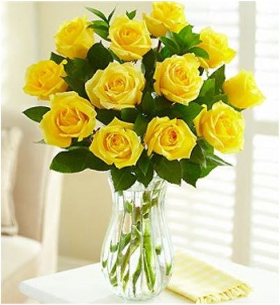 Top 10 Most Beautiful Yellow Roses  Long Stem Yellow Roses:  When you gift someone a bunch of Long Stem Yellow Roses you gift them a tuft of sunshine too. Warm, inviting and cheerful, these are the perfect roses for a bouquet. Yellow Rose Flower, Graduation Flowers, Send Flowers Online, Online Flower Delivery, Order Flowers Online, Rose Vase, Flowers Delivered, Planting Roses, Beautiful Rose Flowers