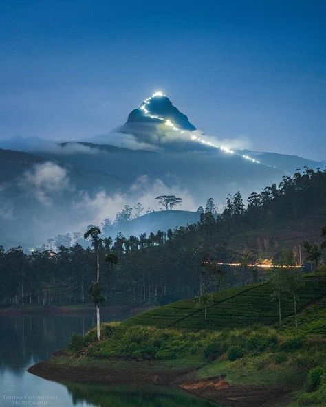 𝐒𝐫𝐢 𝐏𝐚𝐝𝐚 / 𝐀𝐝𝐚𝐦❜𝐬 𝐏𝐞𝐚𝐤 😍🙏 🌷🙏 Sri Pada, also known as Adam’s Peak, is a 2,243m (7,359 ft) mountain in the central highland region of Sri Lanka. Popular for Sri Lankans and tourists alike. The typical climb is started in the middle of the night so you can reach the peak for a breathtaking adams peak sunrise. 📷 ᴄʀᴇᴅɪᴛ ᴛᴏ ᴛʜᴇ @thilina kaluthotage photography 🌐 Website: www.blueskygalletaxis.com 📧 Email: tours@blueskygalletaxis.com 📱 Whatsapp: +94764326808 📸 Follow us on Instagram: https://www... Adams Peak, Path To Heaven, Adam's Peak, Middle Of The Night, Travel Tourism, Photography Website, The Peak, This City, To Heaven