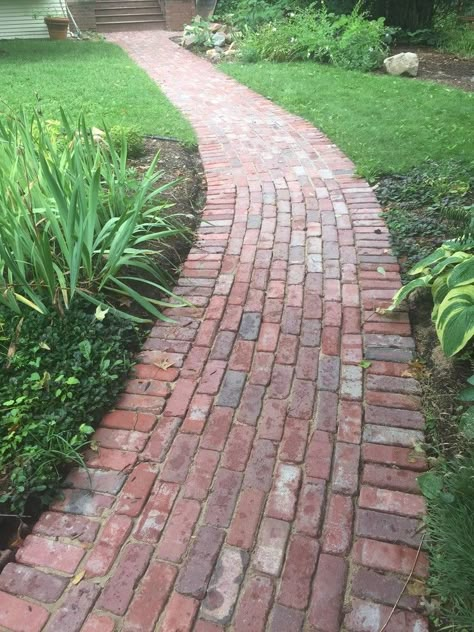 Brick walkway from reclaimed bricks. Brick Paths, Brick Walkways, Brick Sidewalk, Exterior Updates, Brick Pathway, Backyard Walkway, Walkway Design, Walkway Landscaping, Brick Path