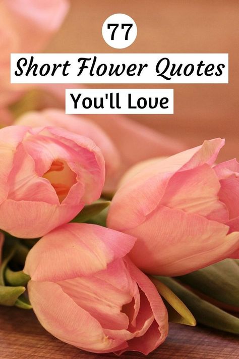 Short Flower Quotes Happy Flower Quotes, Short Poems About Flowers, Inspirational Flower Quotes, Flower Quotes Short, Short Flower Quotes, Gardening Quotes Inspirational, Floral Inspirational Quotes, Flower Quotes Love, Flower Quotes Inspirational