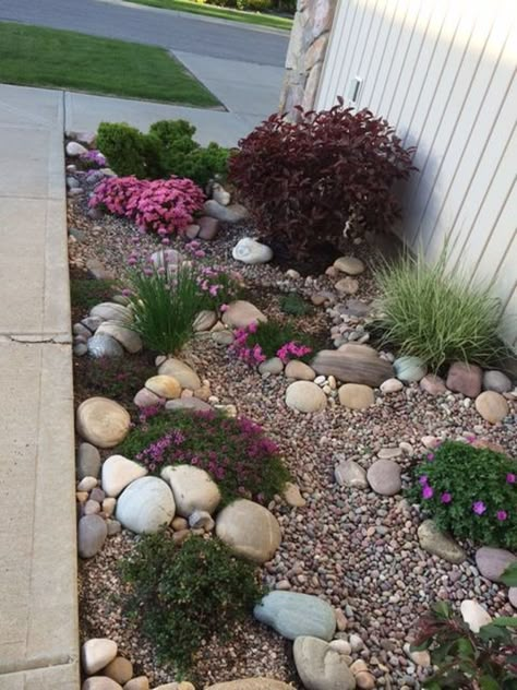 49 Pretty Rock Garden Ideas On A Budget Rock Garden Design, Backyard Gardening, Budget Garden, Rock Garden Landscaping, Have Inspiration, Front Yard Garden, Landscaping With Rocks, Succulents Garden, Shade Garden