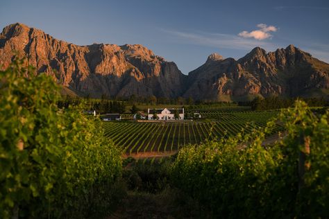 Discover the epitome of elegance at @brookdale_estate, where your dream wedding and luxurious honeymoon come to life. ✨ Set amidst the rolling vineyards and majestic mountains of the Paarl Winelands, Brookdale Estate offers an enchanting backdrop for your special day. Imagine saying "I do" surrounded by nature’s beauty, followed by a stay in their opulent Manor House, where every detail is tailored for your ultimate comfort! Indulge in exquisite cuisine crafted by world-class chefs, paired w... Luxurious Honeymoon, Luxury Honeymoon, Majestic Mountains, Manor House, To Win, South Africa, Wedding Ceremony, Special Day, Dreaming Of You